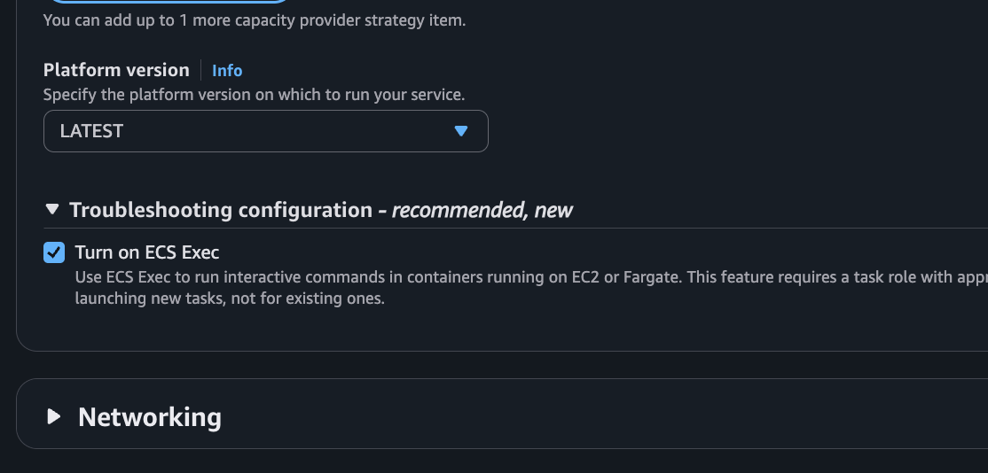 ecs-exec-enable